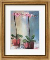 Orchid and Lace I Fine Art Print