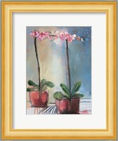 Orchid and Lace I Fine Art Print