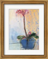 Orchid and Lace II Fine Art Print