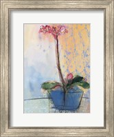 Orchid and Lace II Fine Art Print