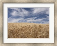 Farm & Field II Fine Art Print