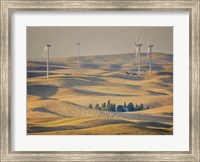 Farm & Field IV Fine Art Print