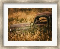 Farm & Field V Fine Art Print