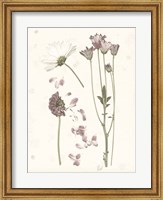 Pressed Blooms II Fine Art Print