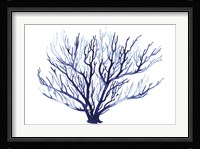 Azure Fan I Framed Print