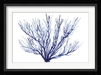 Azure Fan II Framed Print