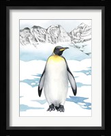 Arctic Animal I Framed Print