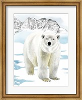 Arctic Animal II Fine Art Print