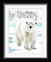 Arctic Animal II Framed Print