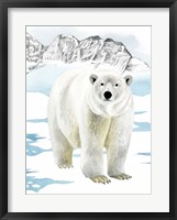 Arctic Animal II Framed Print