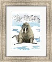 Arctic Animal III Fine Art Print