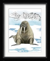 Arctic Animal III Framed Print
