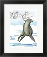 Arctic Animal IV Fine Art Print