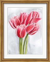 Tulip Tangle II Fine Art Print