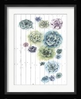 Shiplap Succulent Cluster I Framed Print