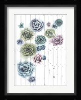 Shiplap Succulent Cluster II Framed Print
