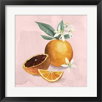 Orange Blossom I Framed Print