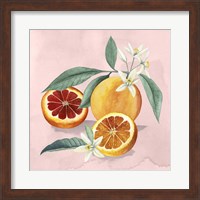Orange Blossom II Fine Art Print