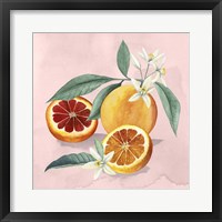 Orange Blossom II Fine Art Print