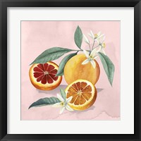 Orange Blossom II Framed Print