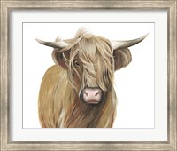 Highland Cattle I Fine Art Print