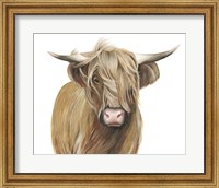Highland Cattle I Fine Art Print