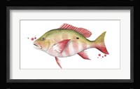 Chromatic Catch II Framed Print