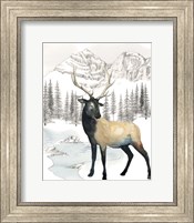 Winter Elk I Fine Art Print