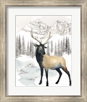 Winter Elk I Fine Art Print