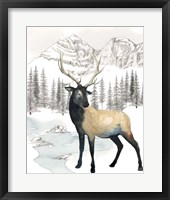 Winter Elk I Framed Print