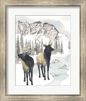 Winter Elk II Fine Art Print
