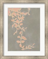 Coral Pothos I Fine Art Print