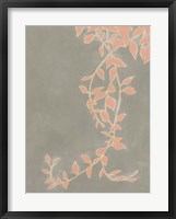 Coral Pothos II Fine Art Print