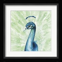 Lucent Plume II Framed Print