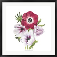 Anemone Blooms I Fine Art Print