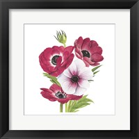 Anemone Blooms II Fine Art Print