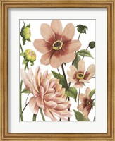 Dahlia Spell II Fine Art Print