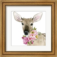Deer Spring II Fine Art Print