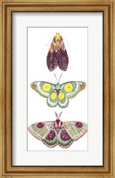 Moth Fairies I Fine Art Print