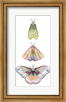 Moth Fairies II Fine Art Print