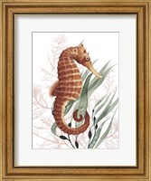Seahorse Treasures I Fine Art Print