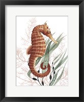 Seahorse Treasures I Framed Print