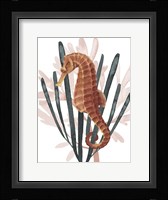 Seahorse Treasures II Framed Print