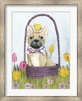 Puppy Easter III Fine Art Print