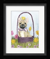 Puppy Easter III Framed Print