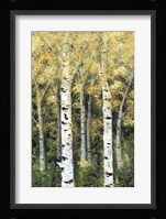 Birch Treeline II Framed Print