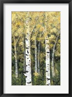 Birch Treeline II Fine Art Print