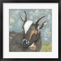 Farm Life-Grey Goat Framed Print