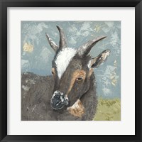 Farm Life-Grey Goat Framed Print