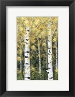 Birch Treeline I Fine Art Print